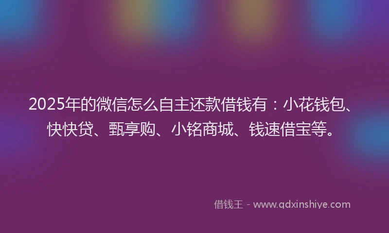 2025年的微信怎么自主还款借钱有：小花钱包、快快贷、甄享购、小铭商城、钱速借宝等。