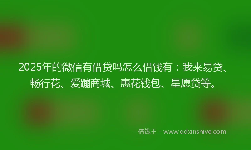 2025年的微信有借贷吗怎么借钱有：我来易贷、畅行花、爱蹦商城、惠花钱包、星愿贷等。