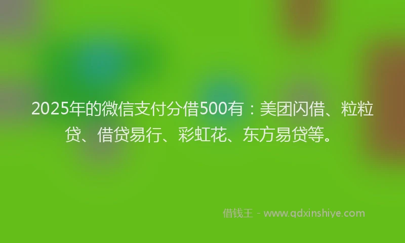 2025年的微信支付分借500有：美团闪借、粒粒贷、借贷易行、彩虹花、东方易贷等。