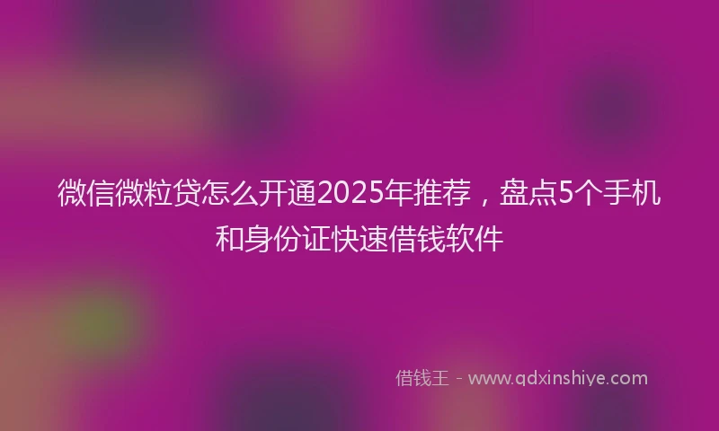 微信微粒贷怎么开通2025年推荐，盘点5个手机和身份证快速借钱软件