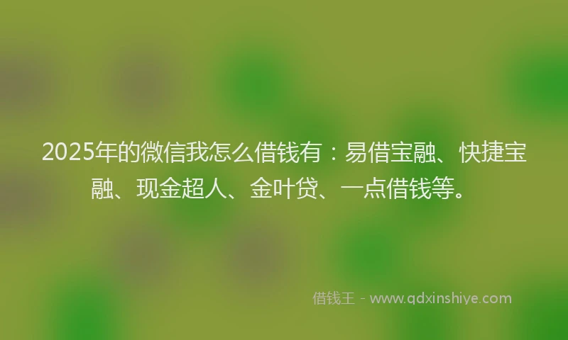 2025年的微信我怎么借钱有：易借宝融、快捷宝融、现金超人、金叶贷、一点借钱等。