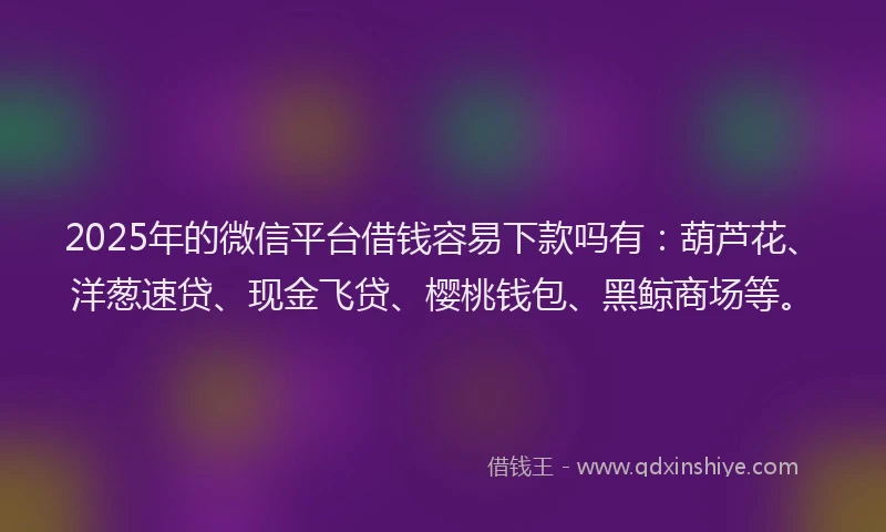 2025年的微信平台借钱容易下款吗有：葫芦花、洋葱速贷、现金飞贷、樱桃钱包、黑鲸商场等。