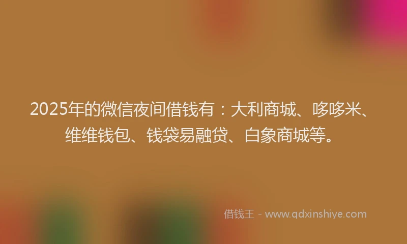 2025年的微信夜间借钱有：大利商城、哆哆米、维维钱包、钱袋易融贷、白象商城等。
