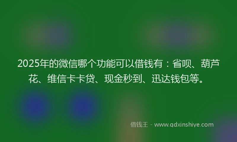 2025年的微信哪个功能可以借钱有：省呗、葫芦花、维信卡卡贷、现金秒到、迅达钱包等。