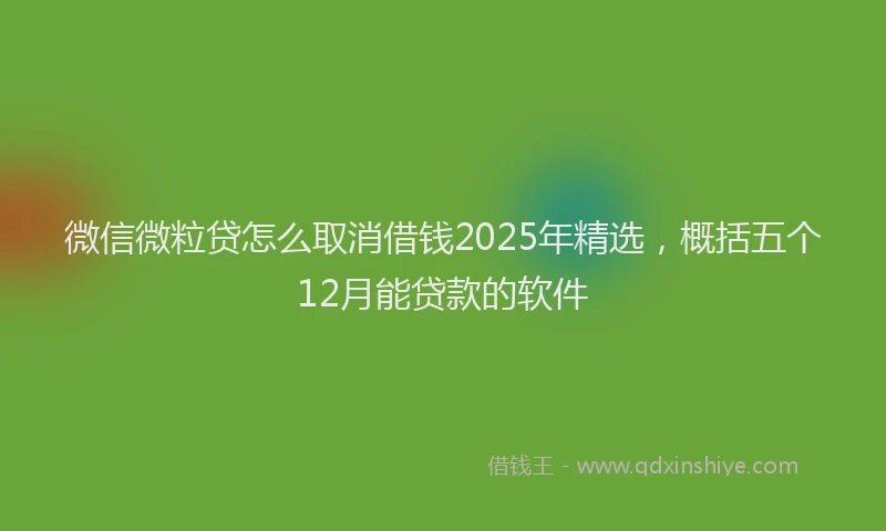微信微粒贷怎么取消借钱2025年精选，概括五个12月能贷款的软件