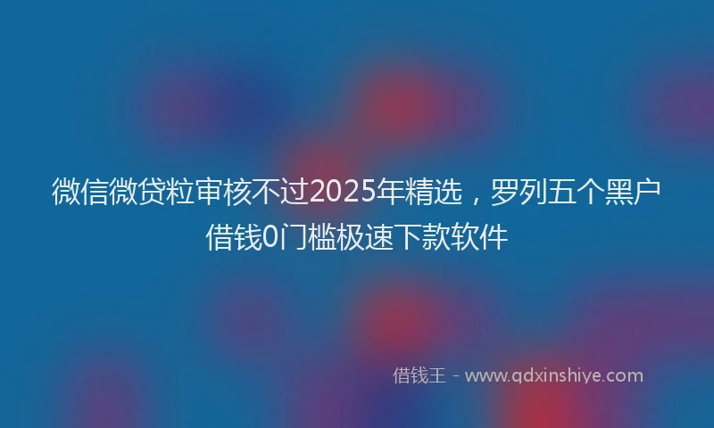 微信微贷粒审核不过2025年精选，罗列五个黑户借钱0门槛极速下款软件