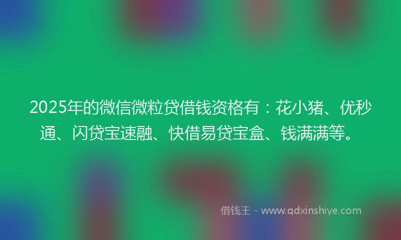 2025年的微信微粒贷借钱资格有：花小猪、优秒通、闪贷宝速融、快借易贷宝盒、钱满满等。
