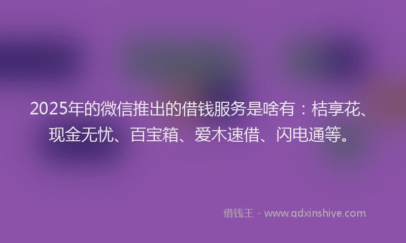 2025年的微信推出的借钱服务是啥有：桔享花、现金无忧、百宝箱、爱木速借、闪电通等。