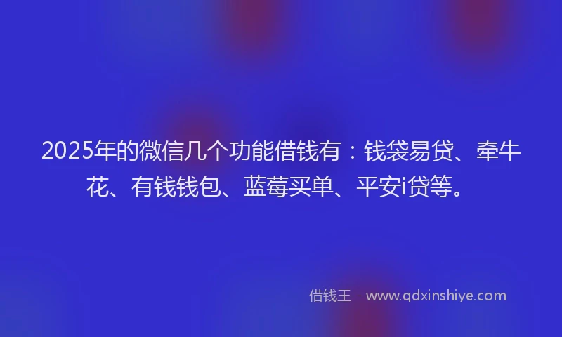 2025年的微信几个功能借钱有：钱袋易贷、牵牛花、有钱钱包、蓝莓买单、平安i贷等。