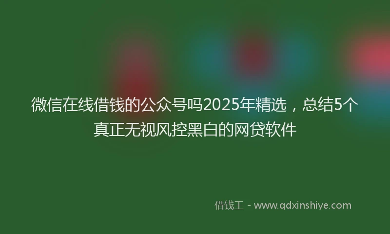 微信在线借钱的公众号吗2025年精选，总结5个真正无视风控黑白的网贷软件