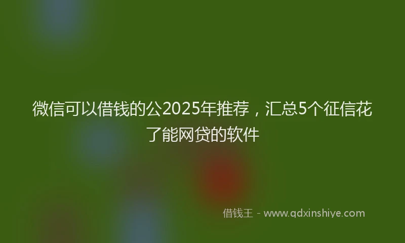 微信可以借钱的公2025年推荐，汇总5个征信花了能网贷的软件