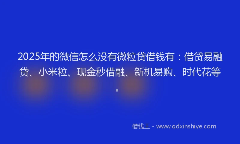 2025年的微信怎么没有微粒贷借钱有：借贷易融贷、小米粒、现金秒借融、新机易购、时代花等。