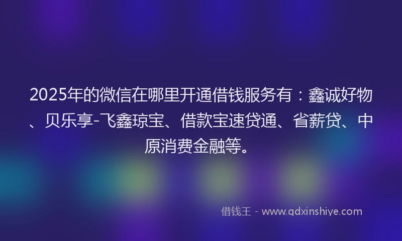 2025年的微信在哪里开通借钱服务有：鑫诚好物、贝乐享-飞鑫琼宝、借款宝速贷通、省薪贷、中原消费金融等。