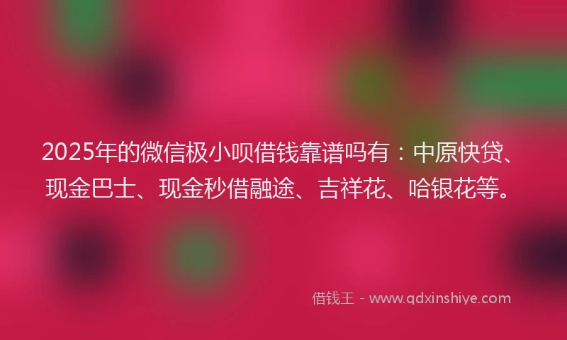 2025年的微信极小呗借钱靠谱吗有：中原快贷、现金巴士、现金秒借融途、吉祥花、哈银花等。