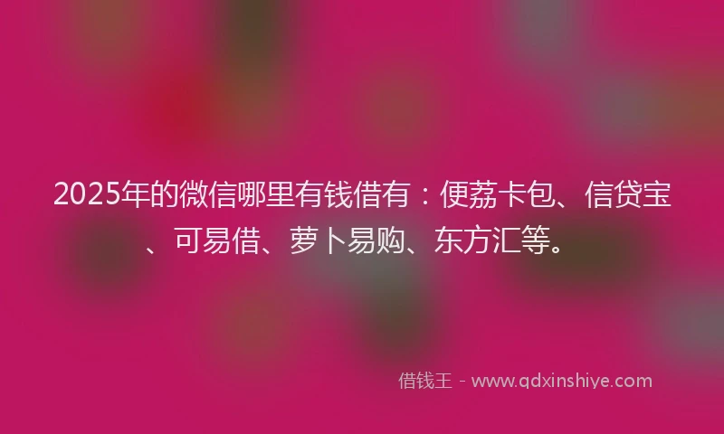 2025年的微信哪里有钱借有：便荔卡包、信贷宝、可易借、萝卜易购、东方汇等。
