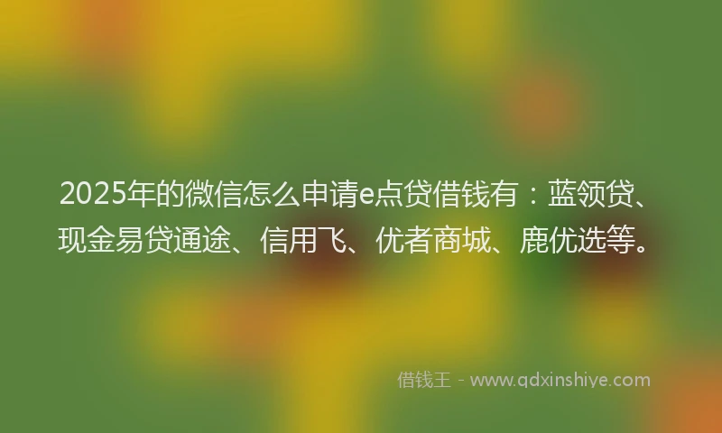 2025年的微信怎么申请e点贷借钱有：蓝领贷、现金易贷通途、信用飞、优者商城、鹿优选等。