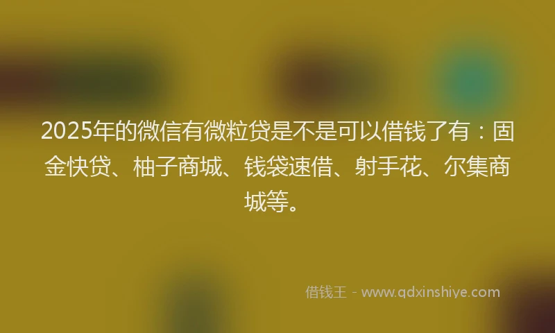 2025年的微信有微粒贷是不是可以借钱了有：固金快贷、柚子商城、钱袋速借、射手花、尔集商城等。
