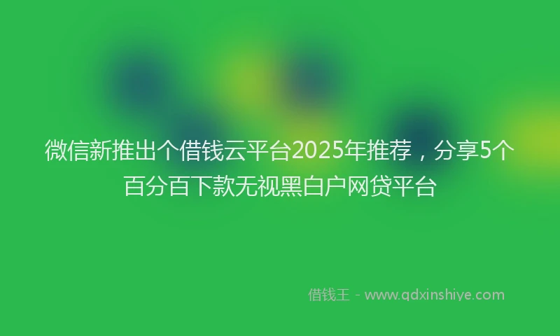 微信新推出个借钱云平台2025年推荐，分享5个百分百下款无视黑白户网贷平台