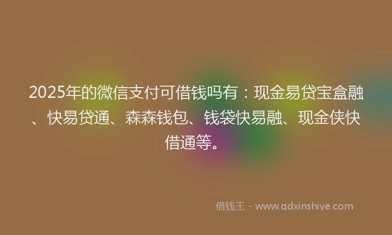 2025年的微信支付可借钱吗有：现金易贷宝盒融、快易贷通、森森钱包、钱袋快易融、现金侠快借通等。