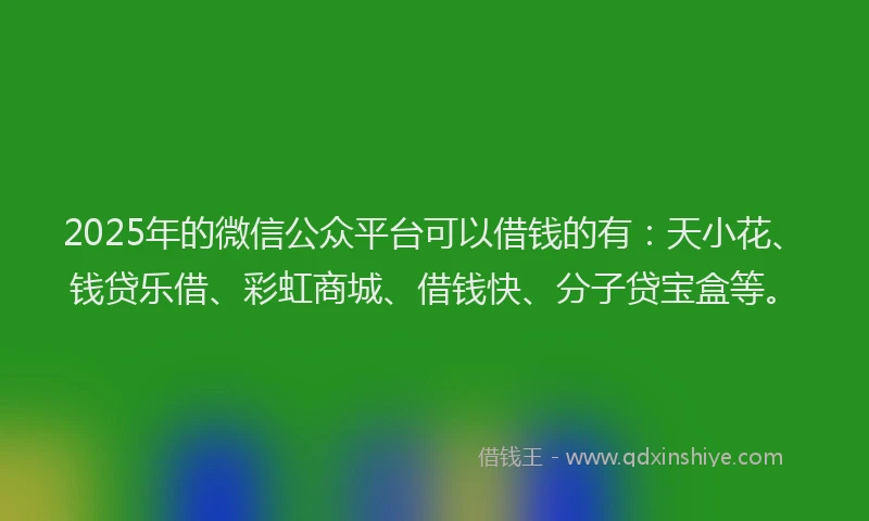 2025年的微信公众平台可以借钱的有：天小花、钱贷乐借、彩虹商城、借钱快、分子贷宝盒等。