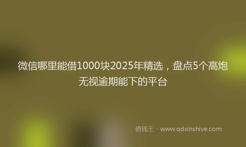 微信哪里能借1000块2025年精选，盘点5个高炮无视逾期能下的平台