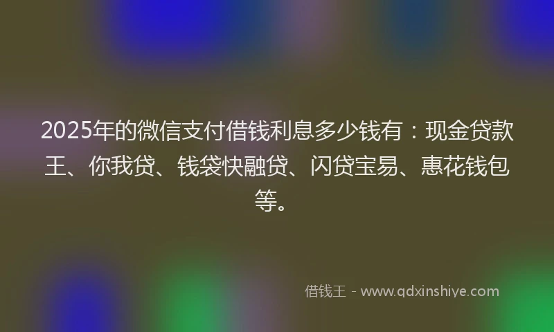 2025年的微信支付借钱利息多少钱有：现金贷款王、你我贷、钱袋快融贷、闪贷宝易、惠花钱包等。