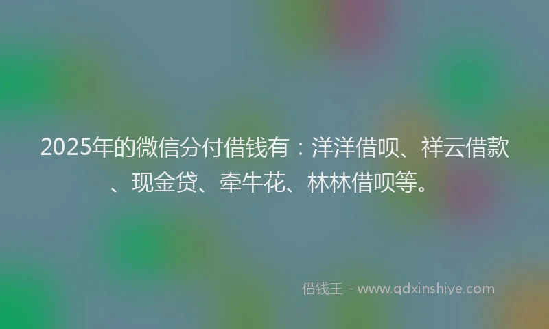2025年的微信分付借钱有：洋洋借呗、祥云借款、现金贷、牵牛花、林林借呗等。