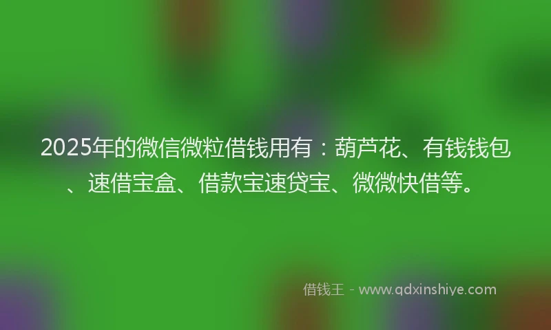 2025年的微信微粒借钱用有：葫芦花、有钱钱包、速借宝盒、借款宝速贷宝、微微快借等。