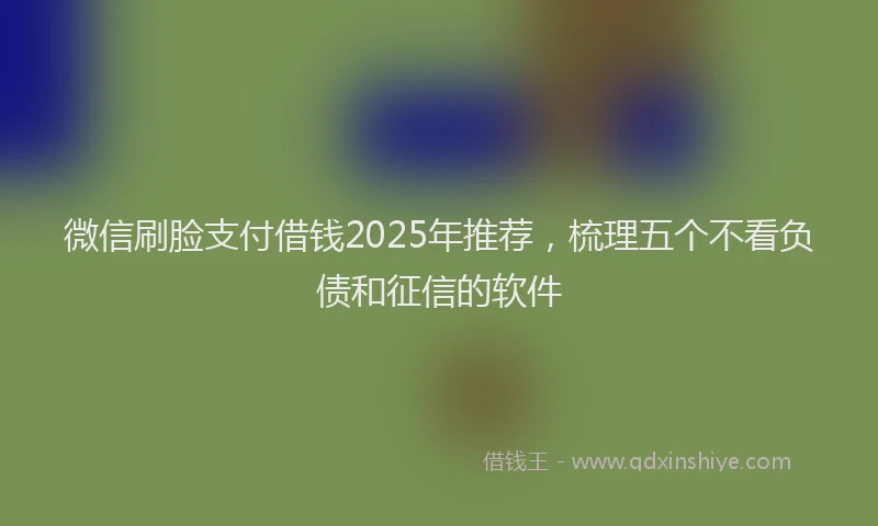 微信刷脸支付借钱2025年推荐，梳理五个不看负债和征信的软件