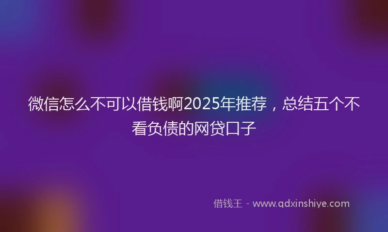 微信怎么不可以借钱啊2025年推荐，总结五个不看负债的网贷口子