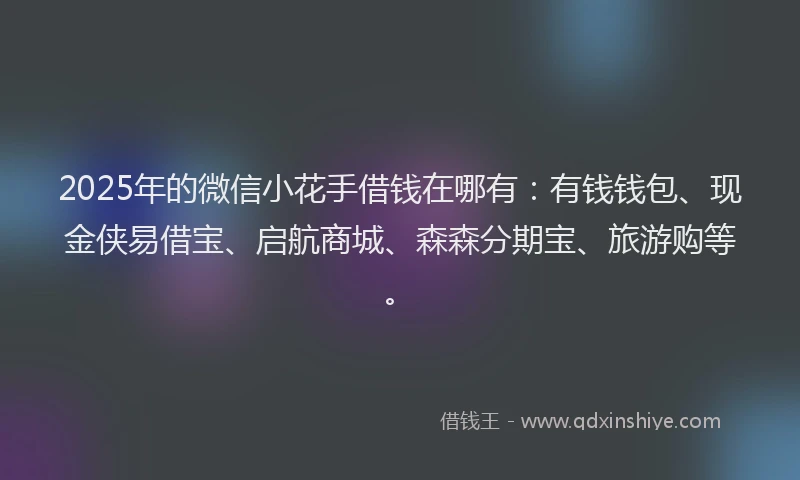 2025年的微信小花手借钱在哪有：有钱钱包、现金侠易借宝、启航商城、森森分期宝、旅游购等。