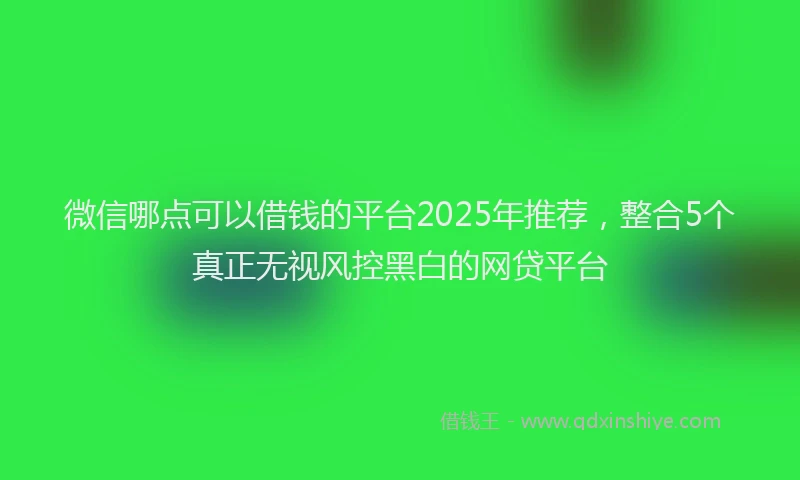 微信哪点可以借钱的平台2025年推荐，整合5个真正无视风控黑白的网贷平台