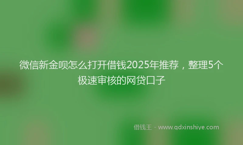 微信新金呗怎么打开借钱2025年推荐，整理5个极速审核的网贷口子
