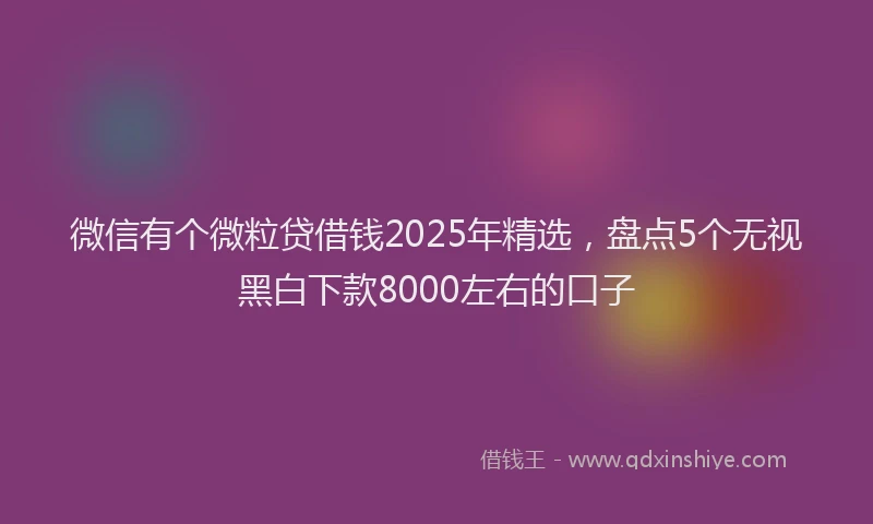 微信有个微粒贷借钱2025年精选，盘点5个无视黑白下款8000左右的口子