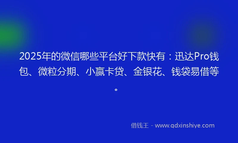 2025年的微信哪些平台好下款快有：迅达Pro钱包、微粒分期、小赢卡贷、金银花、钱袋易借等。
