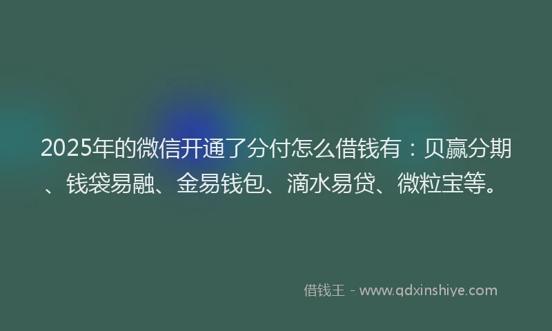2025年的微信开通了分付怎么借钱有：贝赢分期、钱袋易融、金易钱包、滴水易贷、微粒宝等。