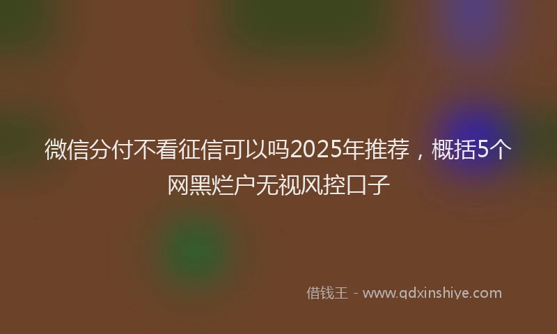 微信分付不看征信可以吗2025年推荐，概括5个网黑烂户无视风控口子