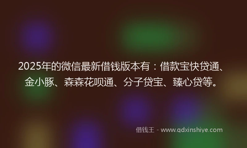 2025年的微信最新借钱版本有：借款宝快贷通、金小豚、森森花呗通、分子贷宝、臻心贷等。