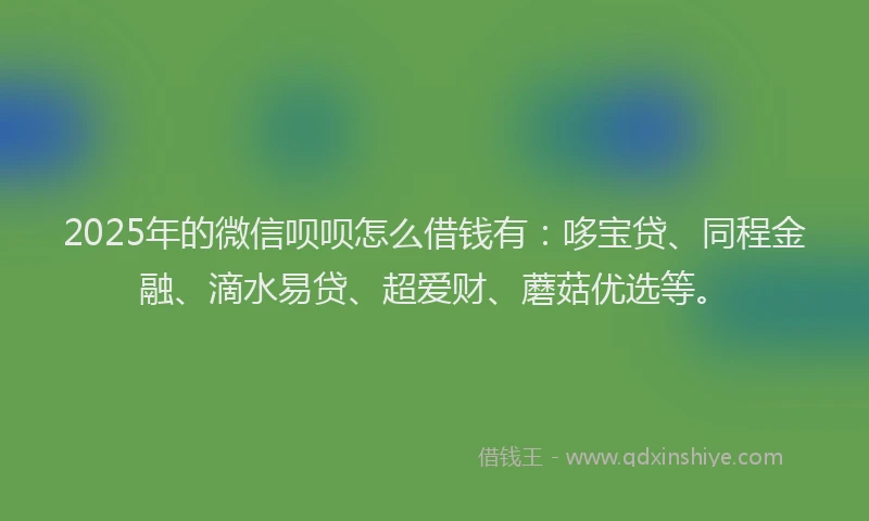 2025年的微信呗呗怎么借钱有：哆宝贷、同程金融、滴水易贷、超爱财、蘑菇优选等。
