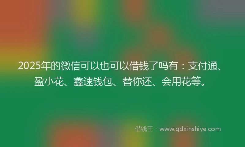 2025年的微信可以也可以借钱了吗有：支付通、盈小花、鑫速钱包、替你还、会用花等。