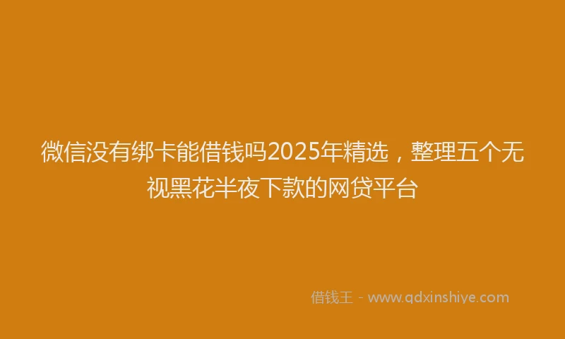 微信没有绑卡能借钱吗2025年精选，整理五个无视黑花半夜下款的网贷平台