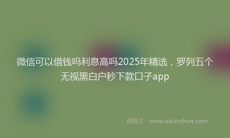 微信可以借钱吗利息高吗2025年精选，罗列五个无视黑白户秒下款口子app