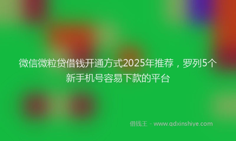 微信微粒贷借钱开通方式2025年推荐，罗列5个新手机号容易下款的平台