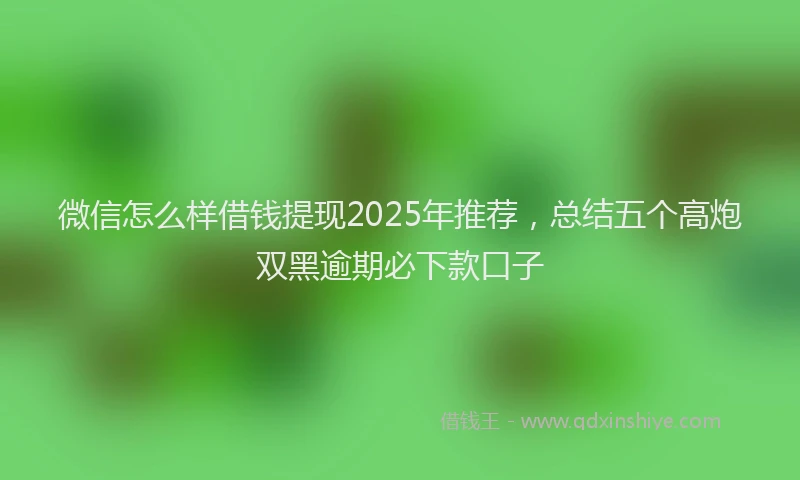 微信怎么样借钱提现2025年推荐，总结五个高炮双黑逾期必下款口子