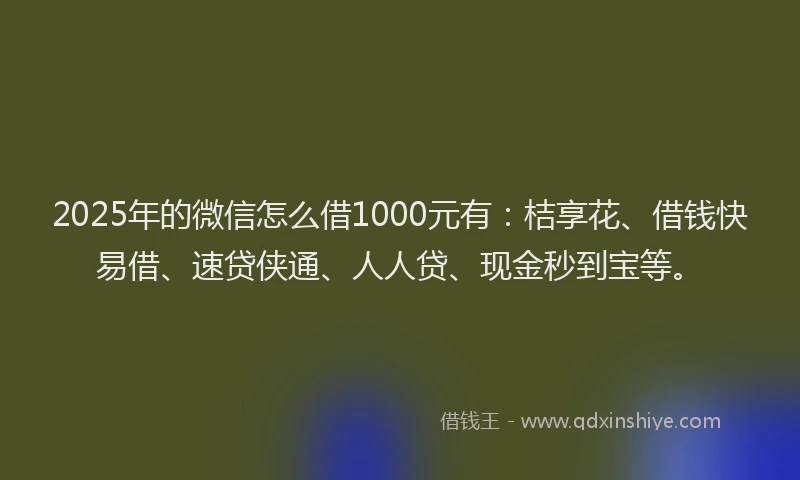 2025年的微信怎么借1000元有：桔享花、借钱快易借、速贷侠通、人人贷、现金秒到宝等。
