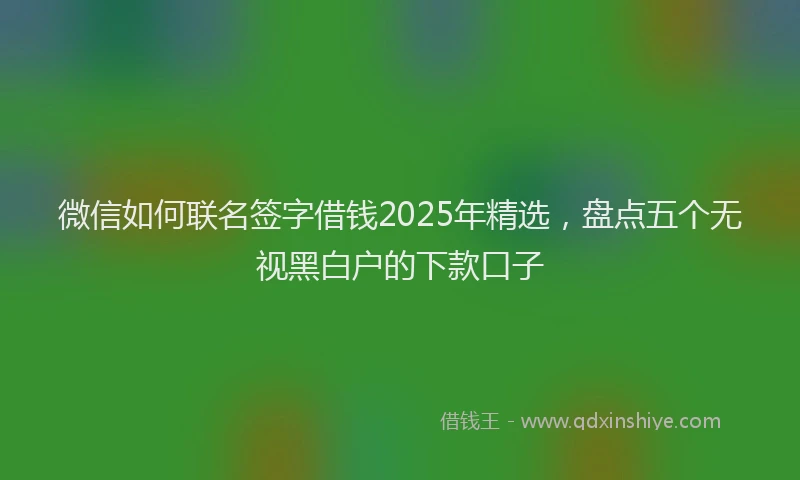 微信如何联名签字借钱2025年精选，盘点五个无视黑白户的下款口子