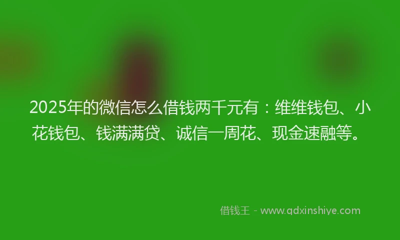 2025年的微信怎么借钱两千元有：维维钱包、小花钱包、钱满满贷、诚信一周花、现金速融等。