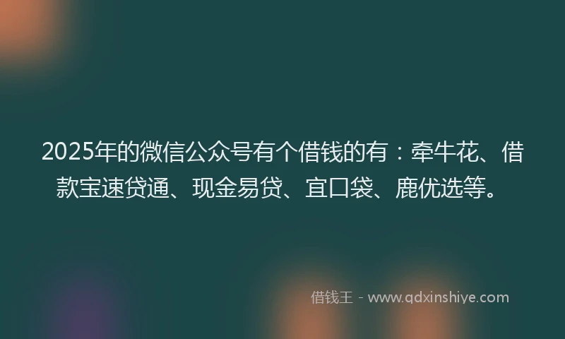 2025年的微信公众号有个借钱的有：牵牛花、借款宝速贷通、现金易贷、宜口袋、鹿优选等。
