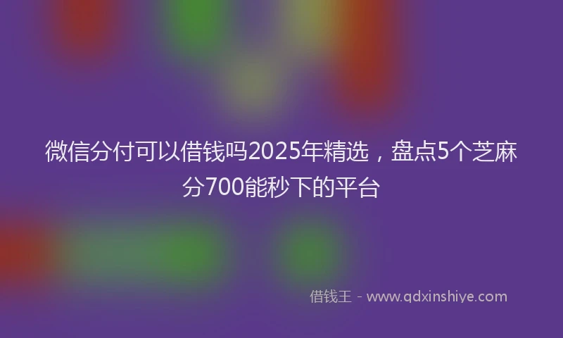 微信分付可以借钱吗2025年精选，盘点5个芝麻分700能秒下的平台