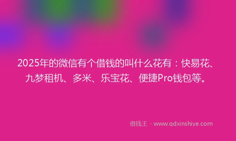 2025年的微信有个借钱的叫什么花有：快易花、九梦租机、多米、乐宝花、便捷Pro钱包等。